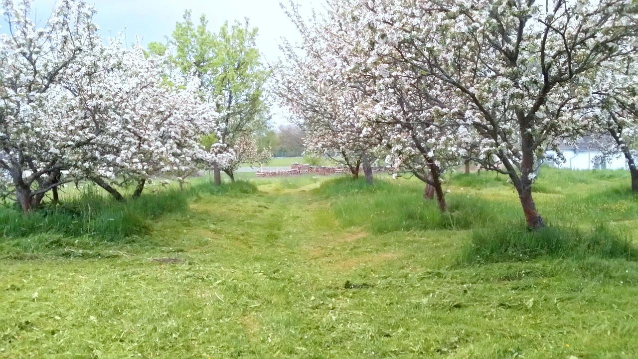 Safar Residence Hrachoviste Luaran gambar